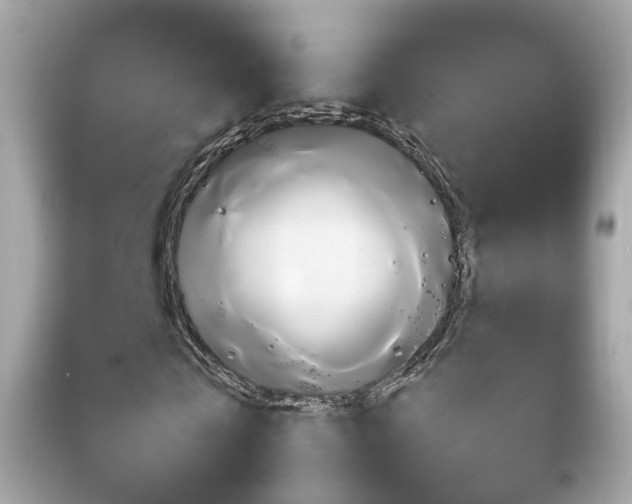 X0000092210769200709140901