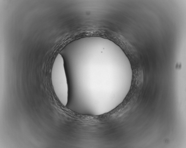 X0000092210770200709140901