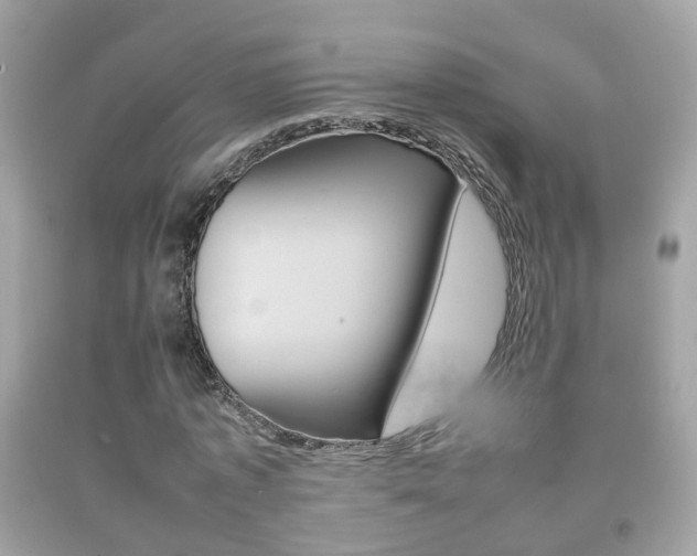 X0000092210773200709140901