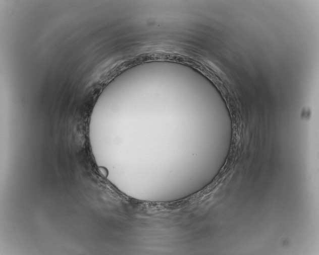 X0000092210774200709140901