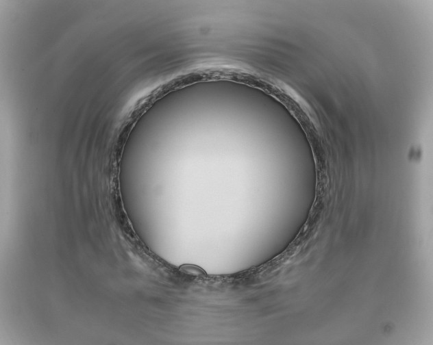 X0000092210775200709140901