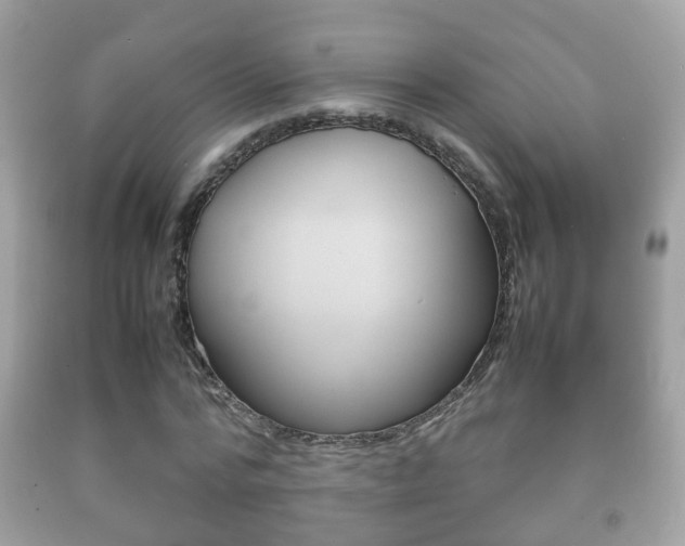 X0000092210776200709140901