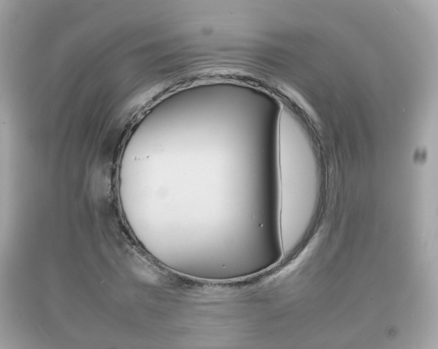 X0000092210777200709140901