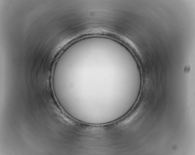 X0000092210778200709140901