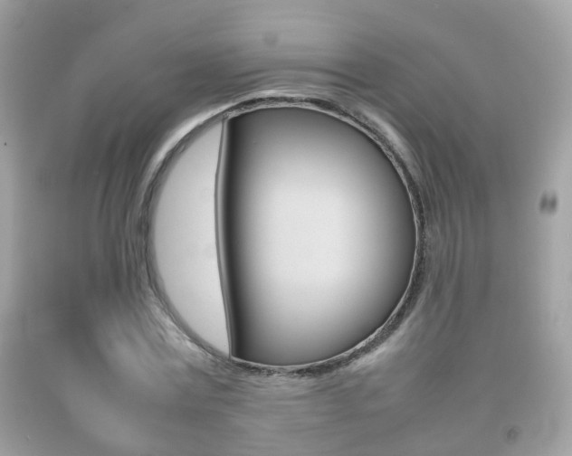 X0000092210779200709140901