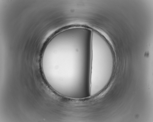 X0000092210783200709140901