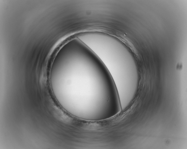 X0000092210784200709140901
