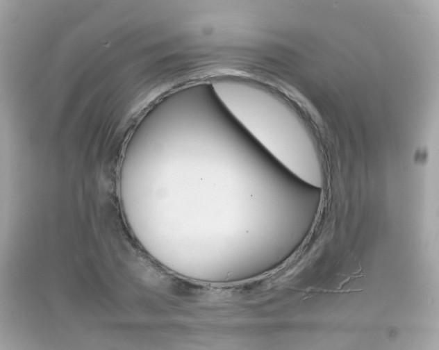 X0000092210785200709140901