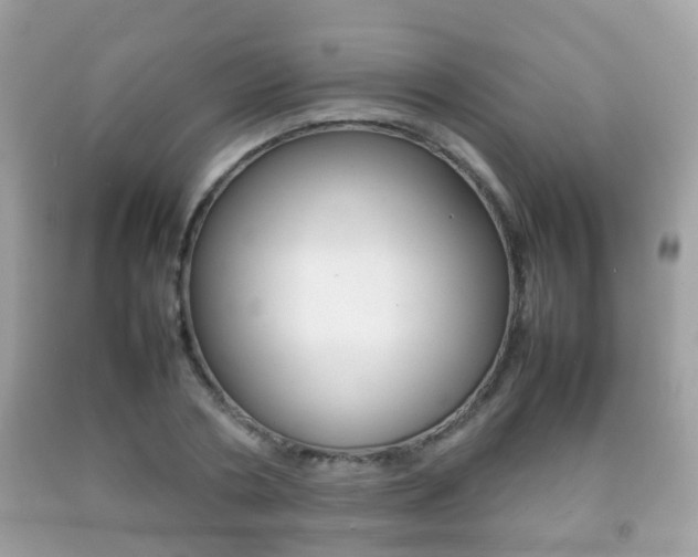 X0000092210786200709140901
