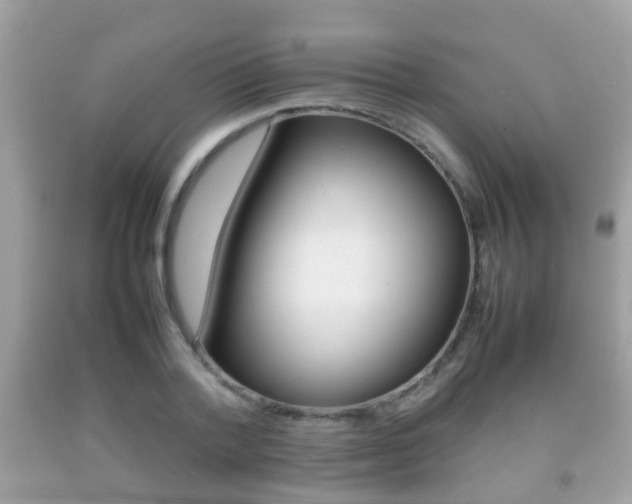 X0000092210788200709140901