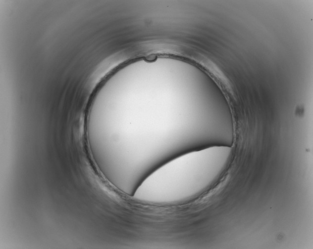 X0000092210790200709140901
