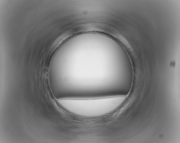 X0000092210793200709140900