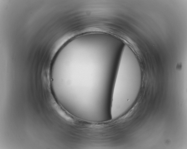 X0000092210796200709140900