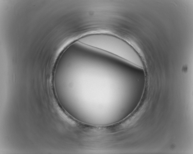 X0000092210797200709140900