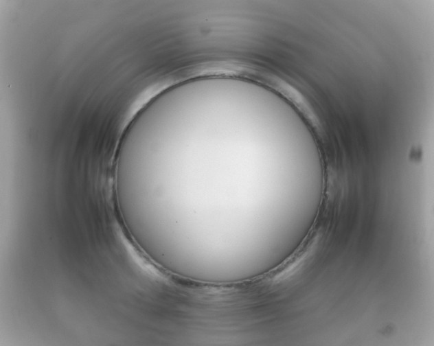 X0000092210802200709140900