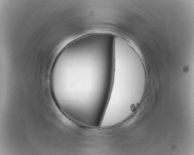 X0000092210803200709140900