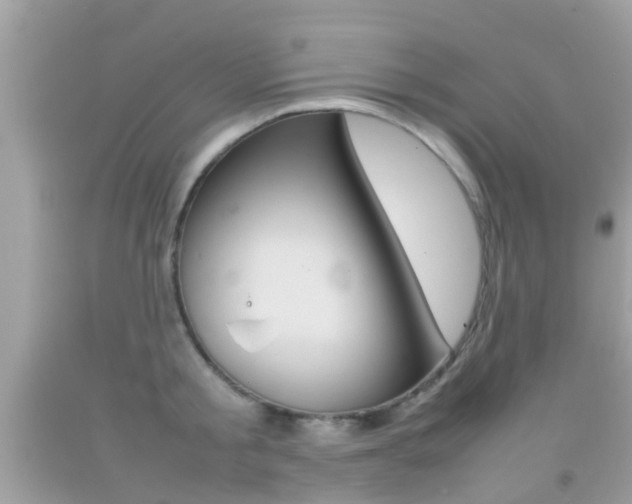 X0000092210805200709140900
