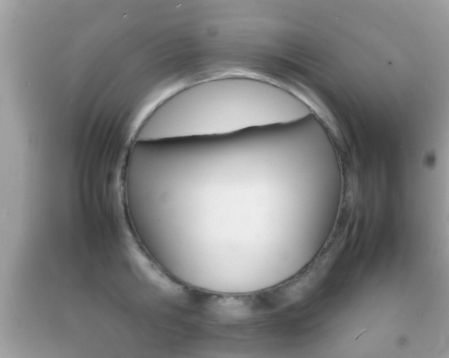 X0000092210806200709140900