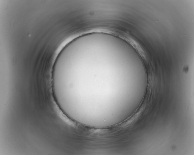 X0000092210808200709140900