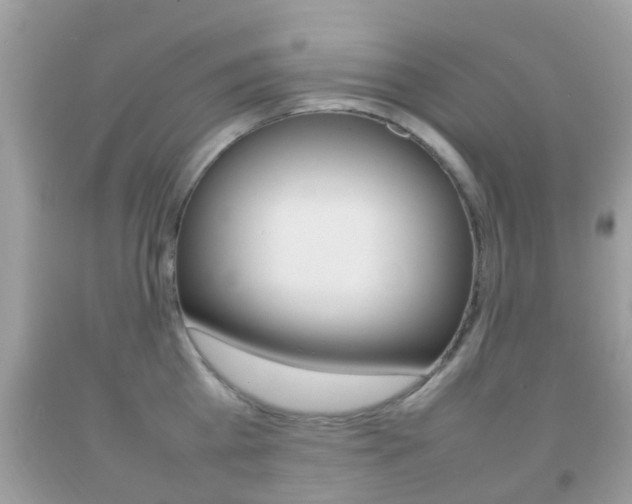 X0000092210809200709140900
