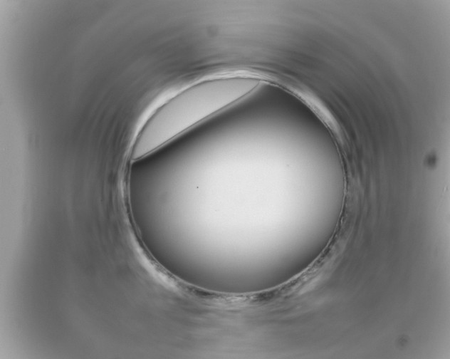 X0000092210813200709140900