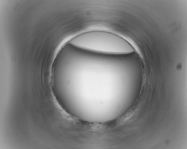 X0000092210815200709140900