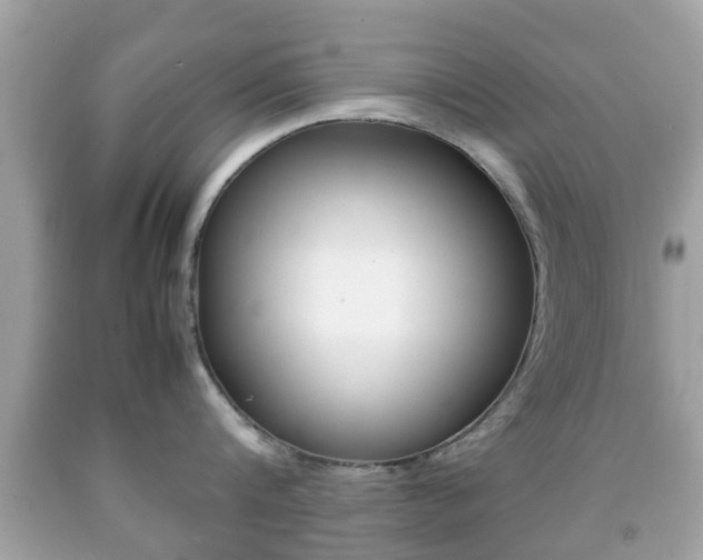 X0000092210816200709140900