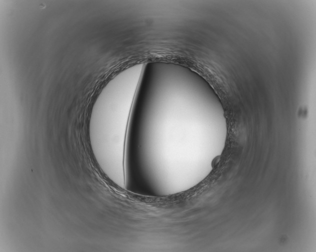 X0000092210817200709140900