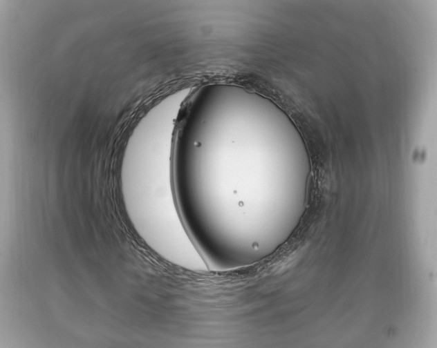 X0000092210818200709140900