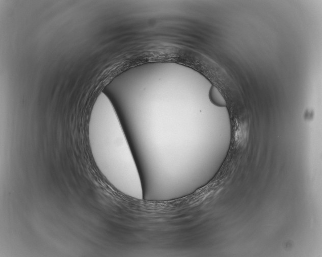 X0000092210819200709140900