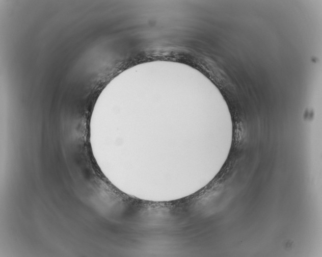 X0000092210820200709140900