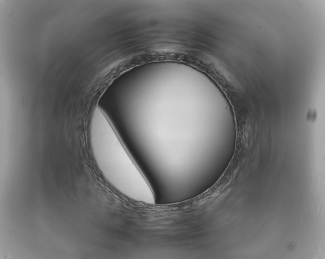 X0000092210821200709140900