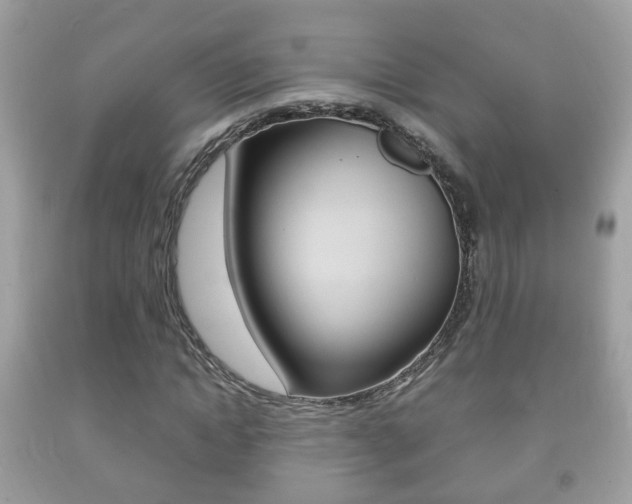 X0000092210822200709140900