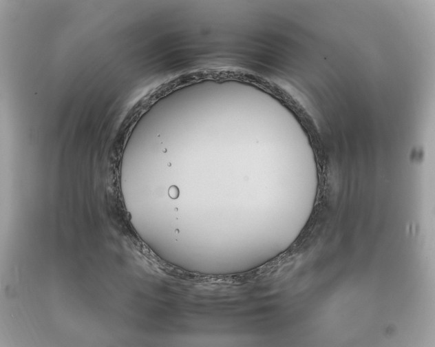X0000092210823200709140900