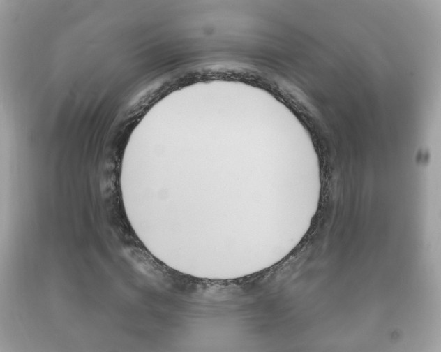 X0000092210824200709140900