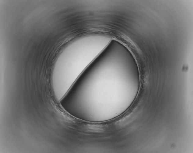 X0000092210825200709140900
