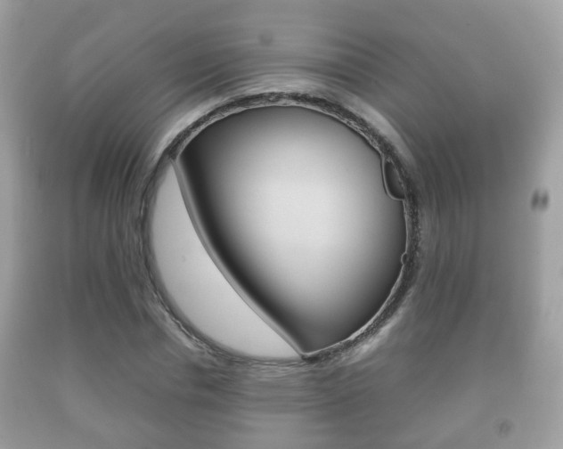 X0000092210826200709140900
