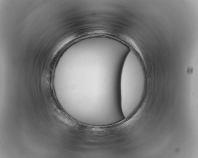 X0000092210827200709140900