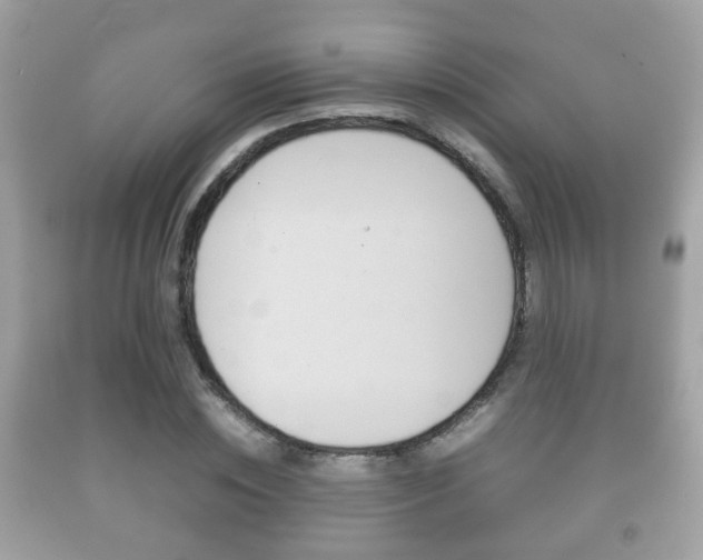 X0000092210828200709140900