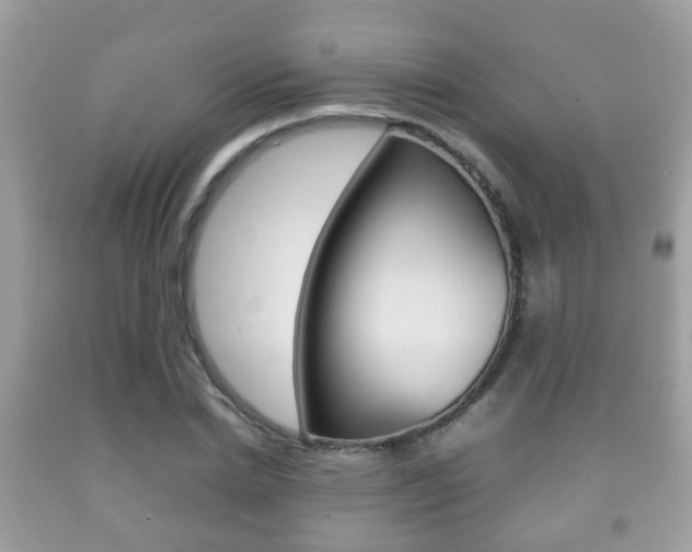 X0000092210830200709140900
