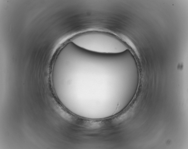 X0000092210831200709140900