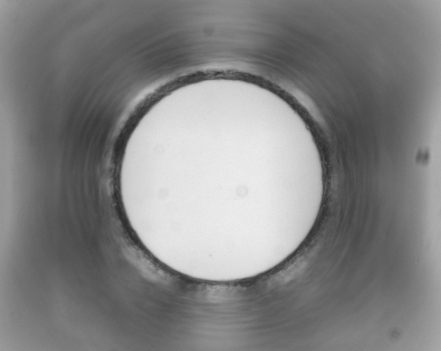 X0000092210832200709140900