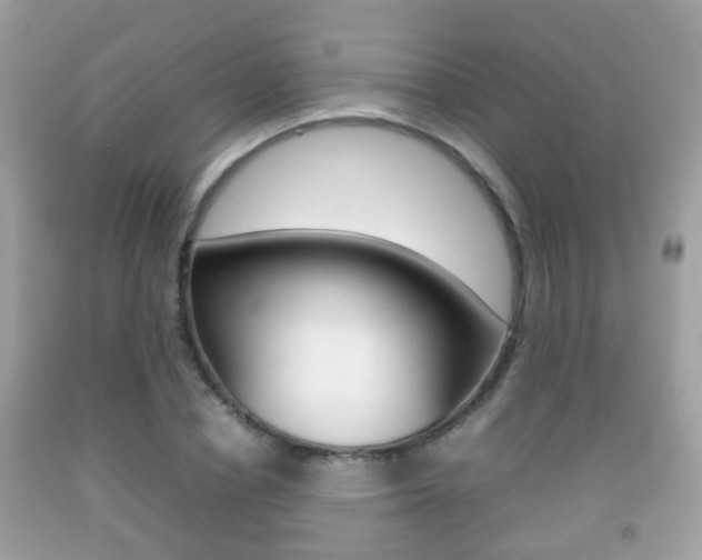 X0000092210834200709140900