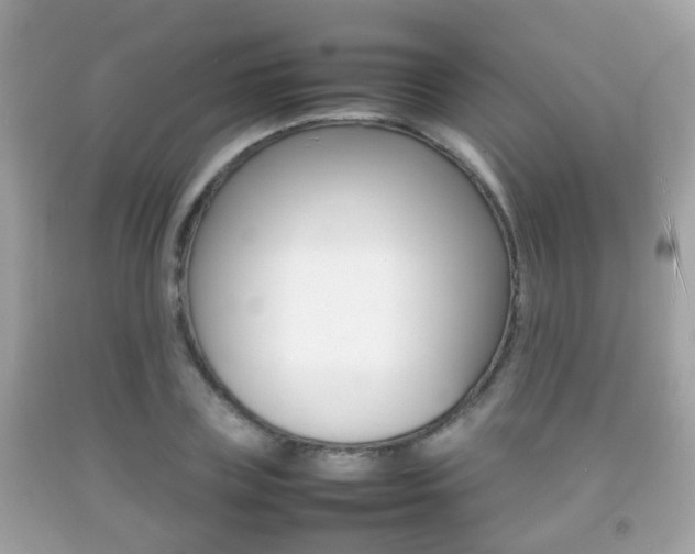 X0000092210835200709140900