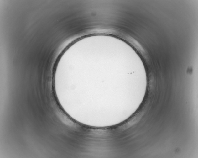 X0000092210836200709140900