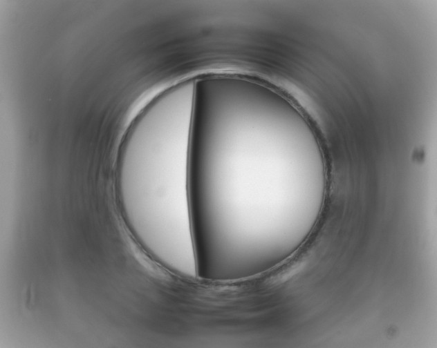 X0000092210837200709140900