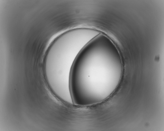 X0000092210838200709140900