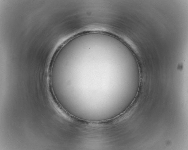 X0000092210840200709140900