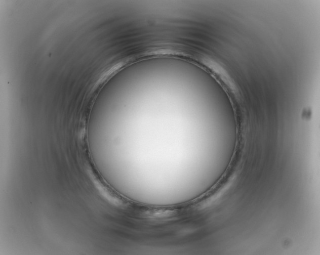 X0000092210841200709140900