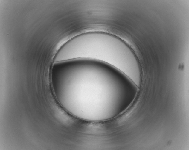 X0000092210842200709140900